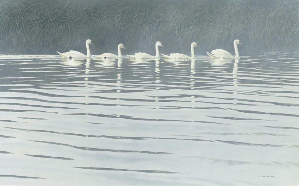 Flotilla (Polish Mutes) 2006