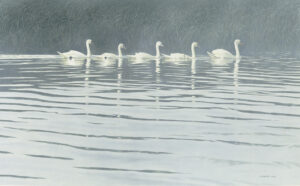 Flotilla (Polish Mutes) 2006